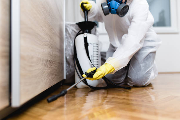 Best Bed Bug Extermination  in Sutherlin, OR