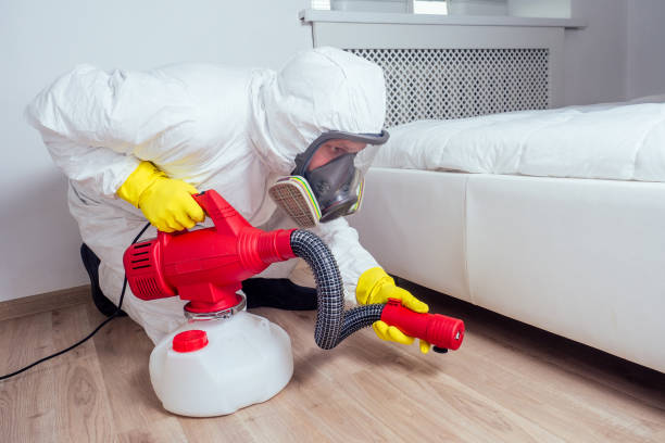 Best Flea Control Services  in Sutherlin, OR