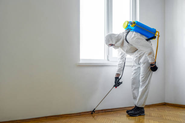 Pest Control for Restaurants in Sutherlin, OR