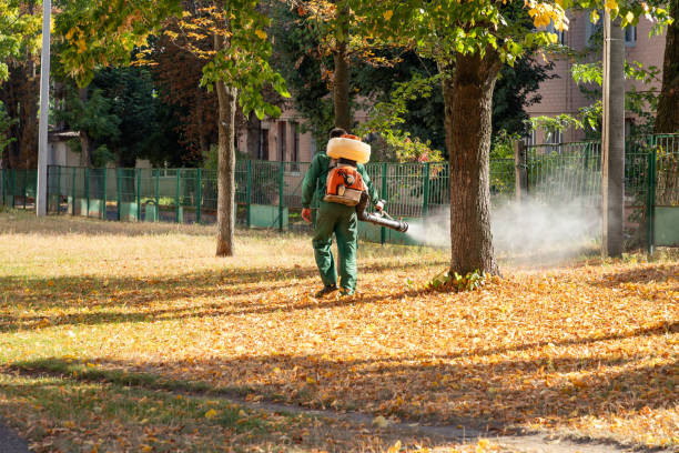 Best Affordable Pest Control Services  in Sutherlin, OR