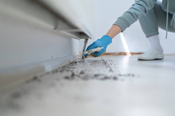 Trusted Sutherlin, OR Pest Control Experts